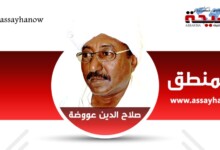 صلاح الدين عووصة