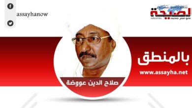 صلاح الدين عووصة