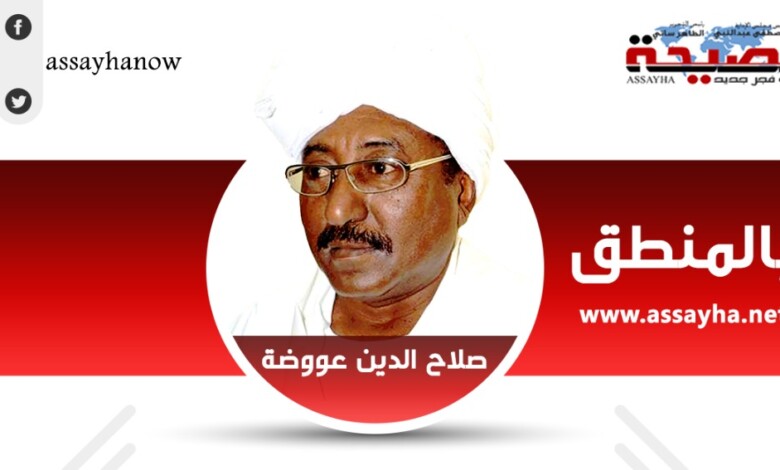 صلاح الدين عووصة