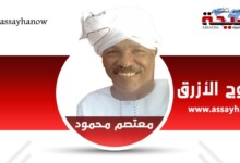 معتصم محمود