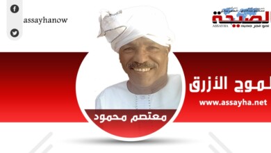 معتصم محمود